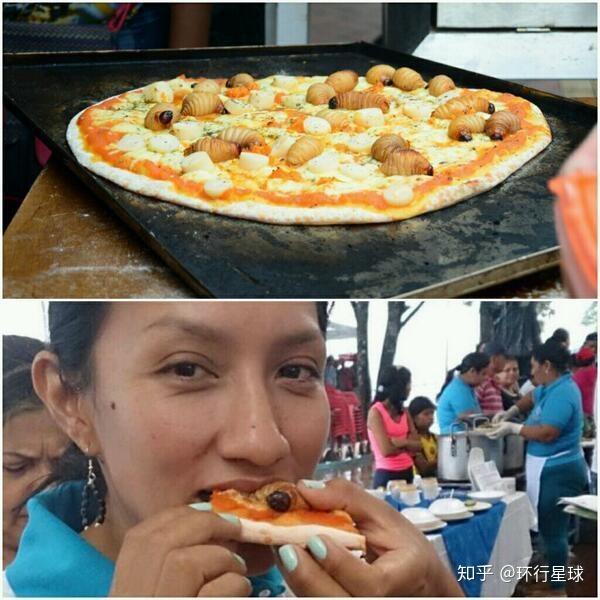 羊驼最便宜一只多少元，羊驼价格多少钱一只（羊驼可以吃么）