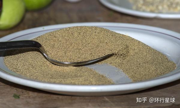 羊驼最便宜一只多少元，羊驼价格多少钱一只（羊驼可以吃么）