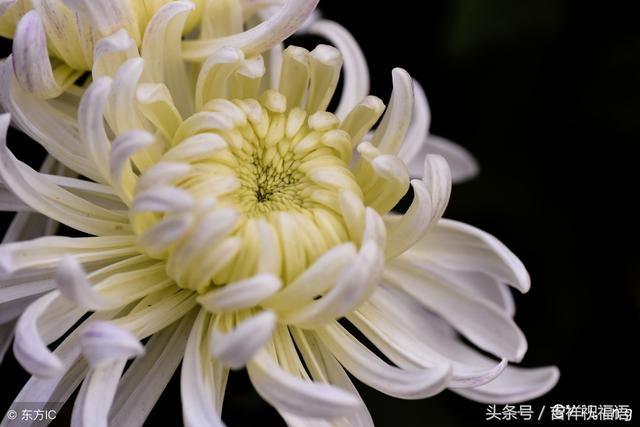 哀思亲人天堂寄语，家人清明节哀思寄语（七月十五想念天堂的亲人寄托悲痛的哀思）