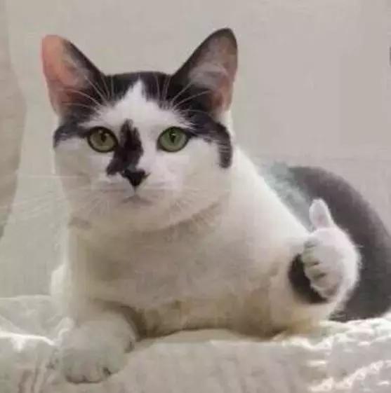 skii面膜怎么看保质期,sk2面膜怎么看保质期(买了一堆Lamer) skii面膜怎么看保质期,sk2面膜怎么看保质期(买了一堆Lamer)