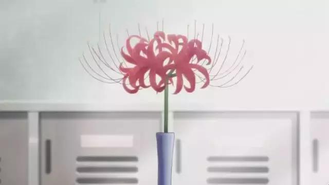 彼岸花的叶子长什么样，彼岸花的叶子长什么样图片（彼岸花，一朵中二气息满分的花）