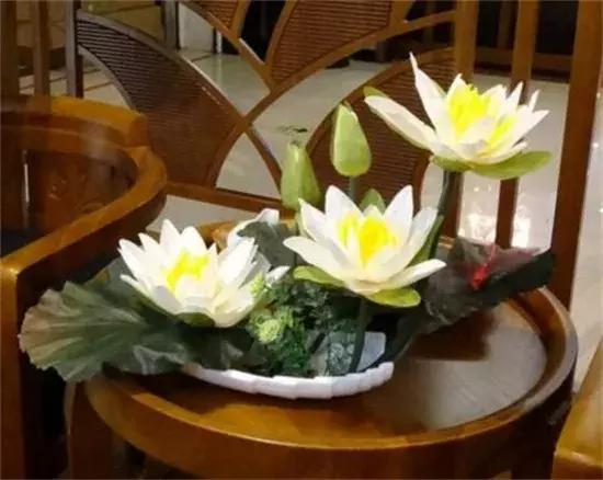 睡莲种子的种植方法水培，水培睡莲无土方法步骤（睡莲开出来的花鲜艳而已美丽）