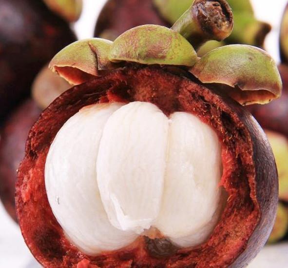 如何正确剥山竹，如何轻松剥山竹（那山竹的正确剥法你知道吗）