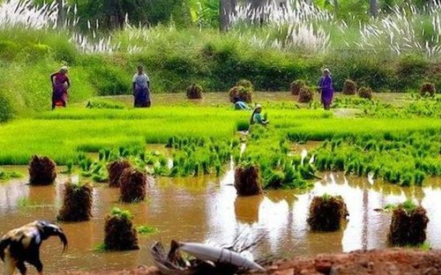 南亚有哪些国家，南亚超过一亿人口的国家有哪些（为何人口却那么多呢）