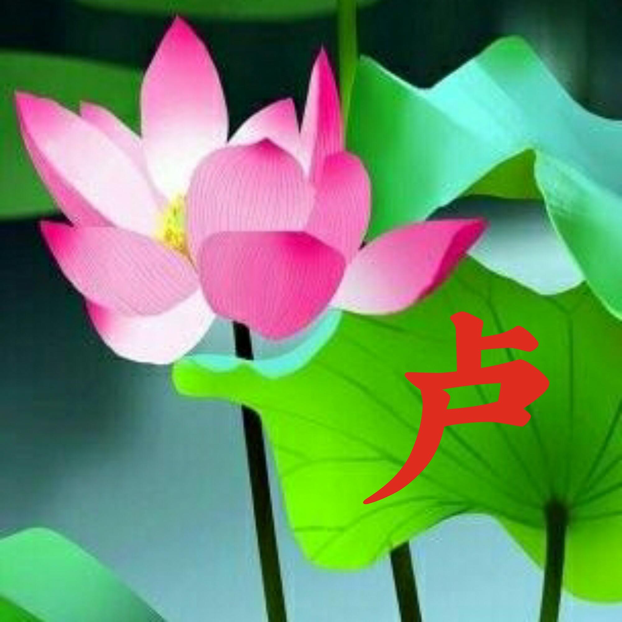 可以做头像的图片(微信图片大全头像)