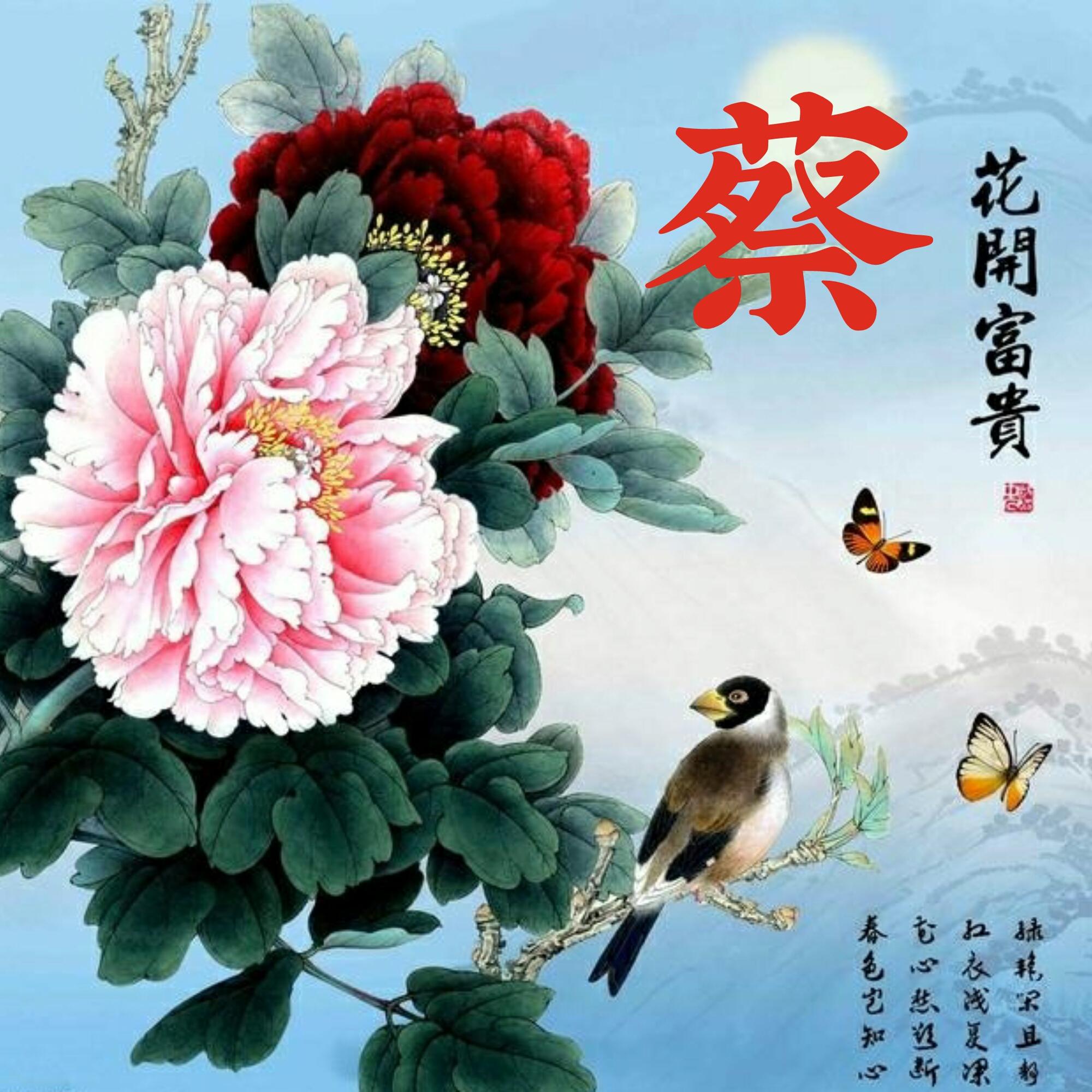 可以做头像的图片(微信图片大全头像)