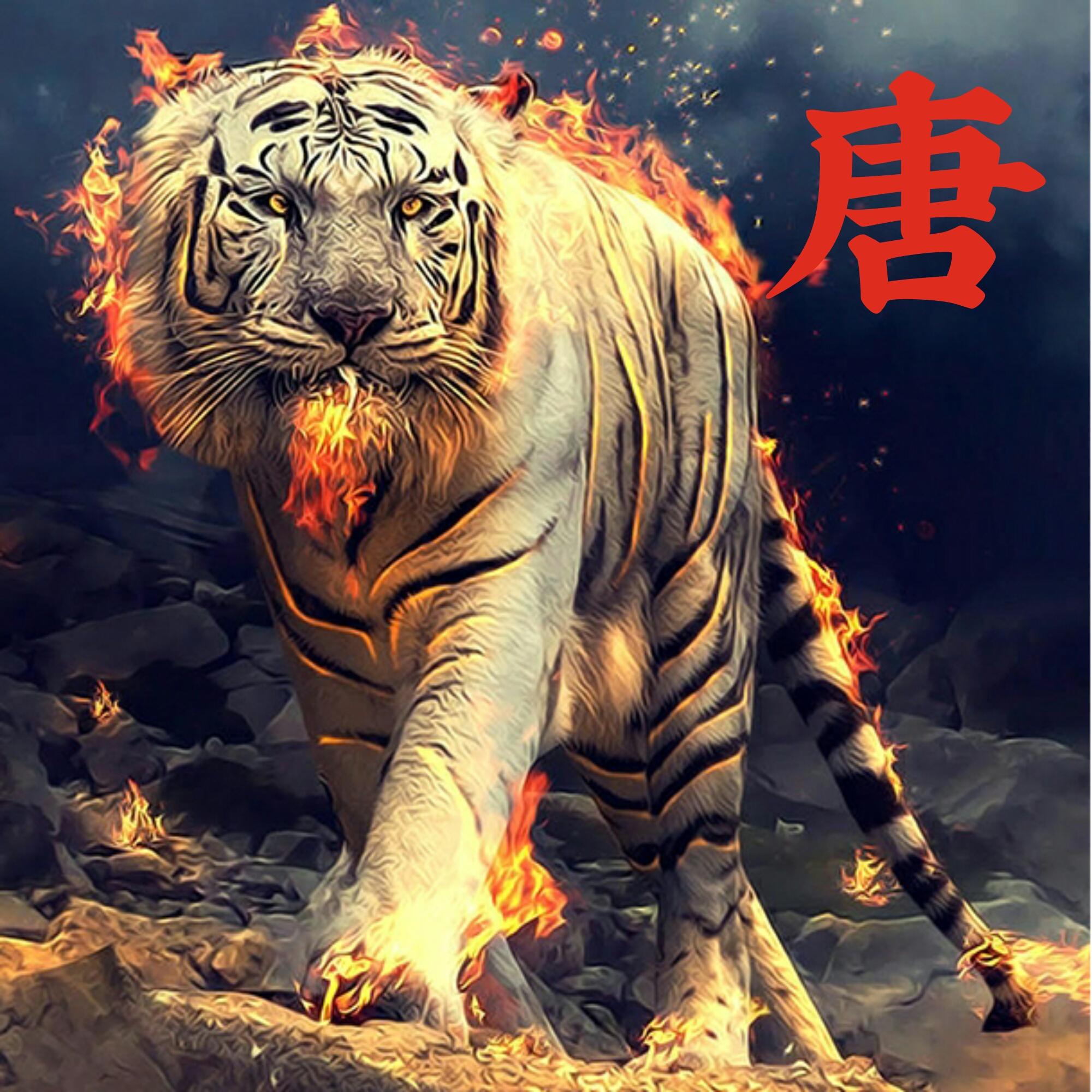 可以做头像的图片(微信图片大全头像)