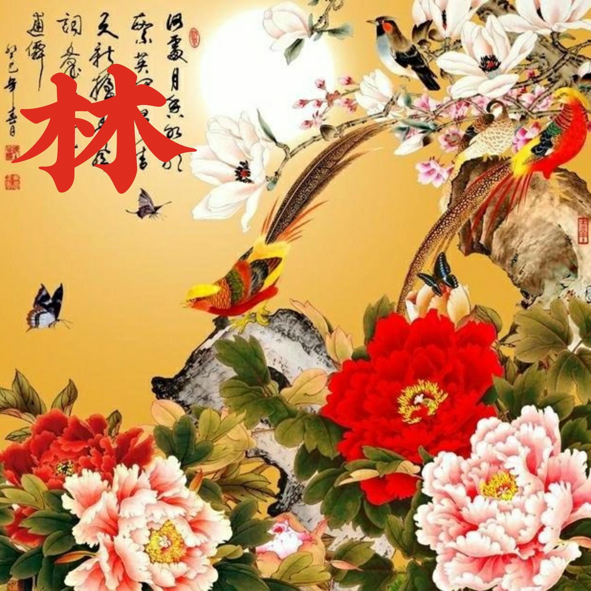 可以做头像的图片(微信图片大全头像)