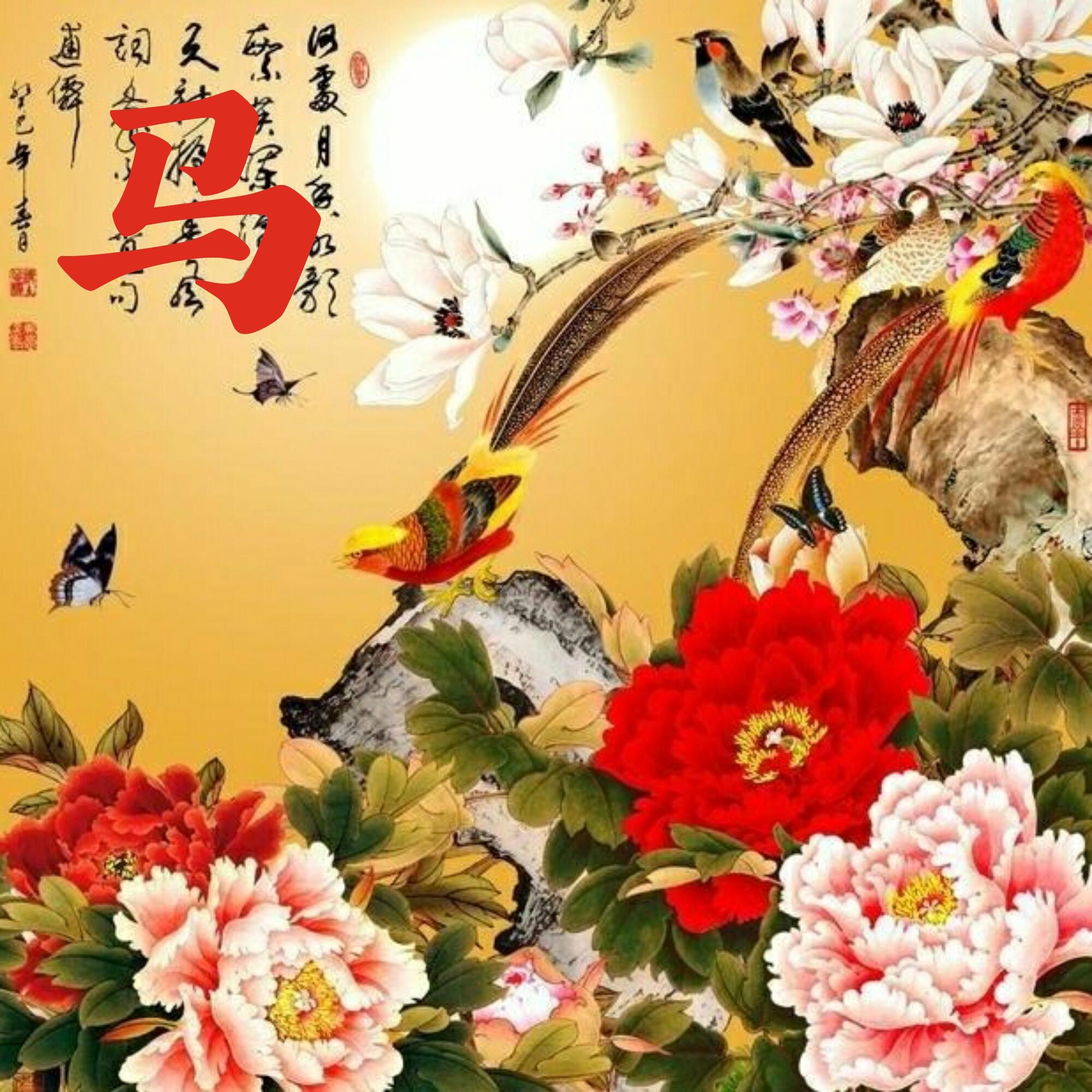 可以做头像的图片(微信图片大全头像)