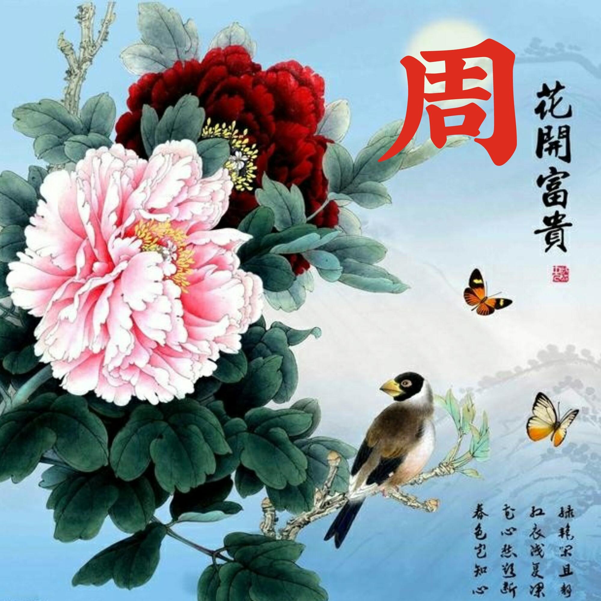可以做头像的图片(微信图片大全头像)