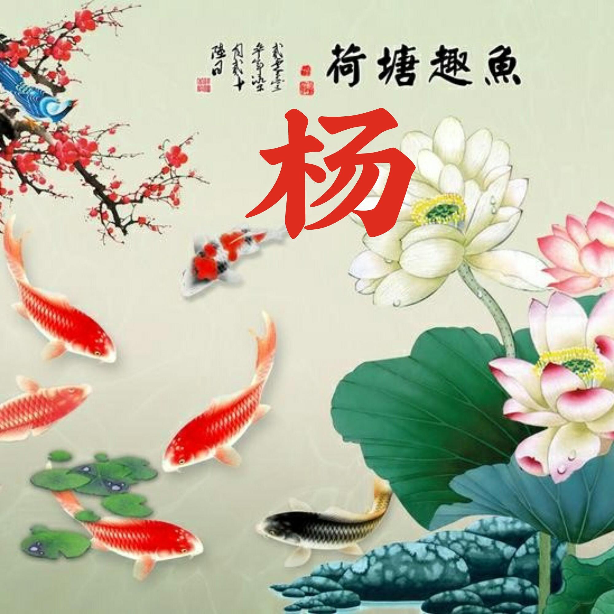 可以做头像的图片(微信图片大全头像)