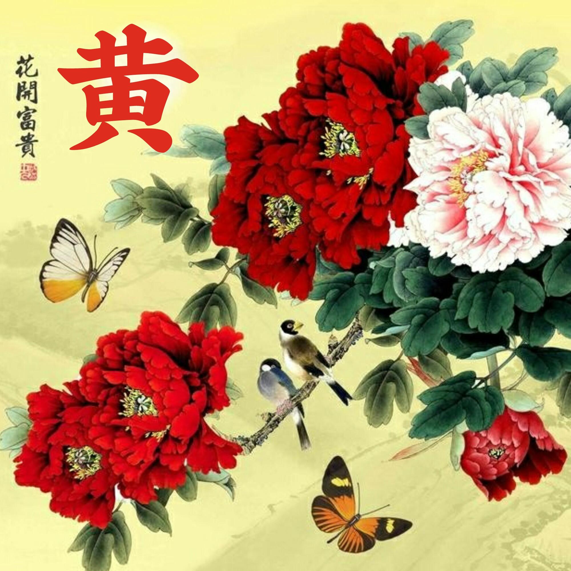 可以做头像的图片(微信图片大全头像)