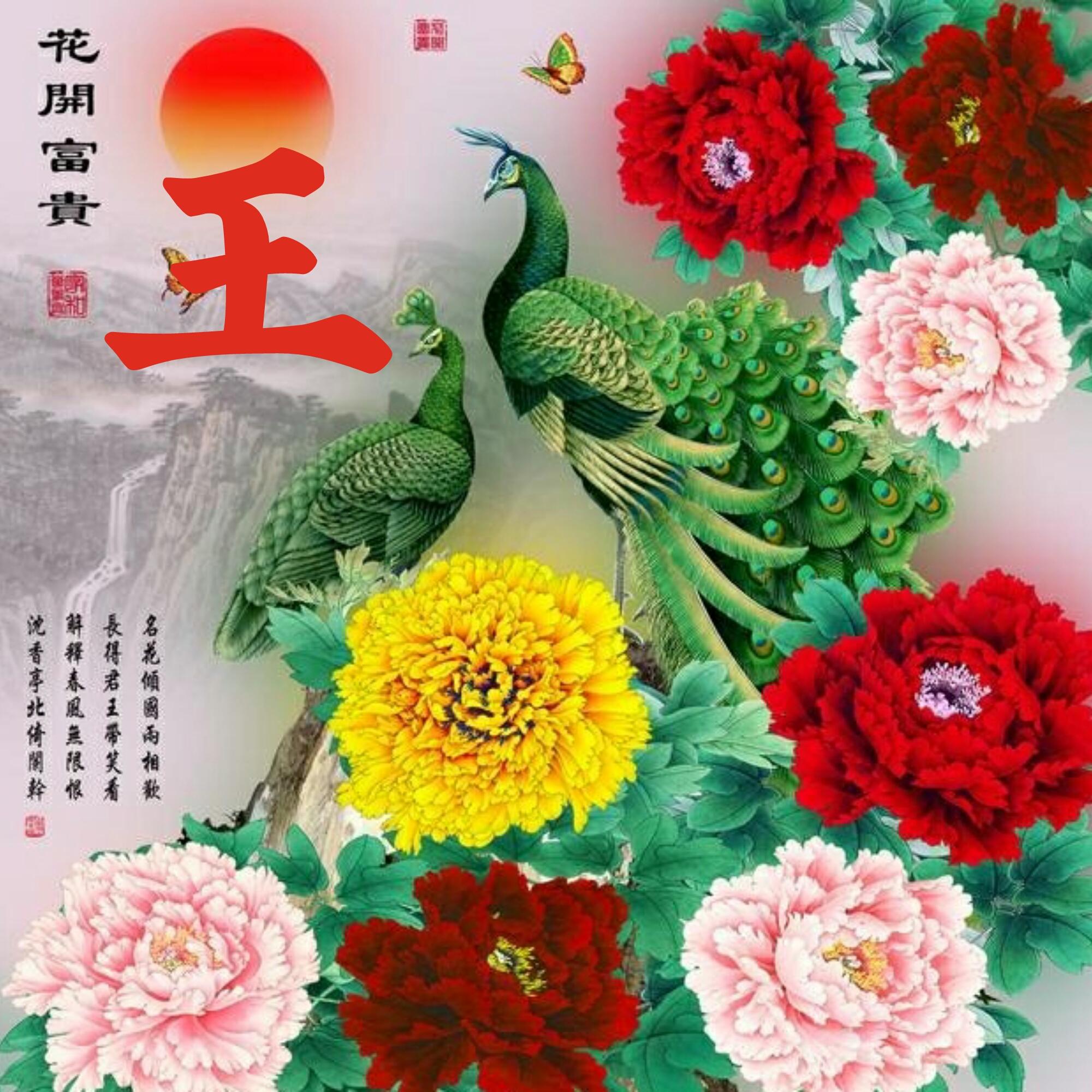 可以做头像的图片(微信图片大全头像)