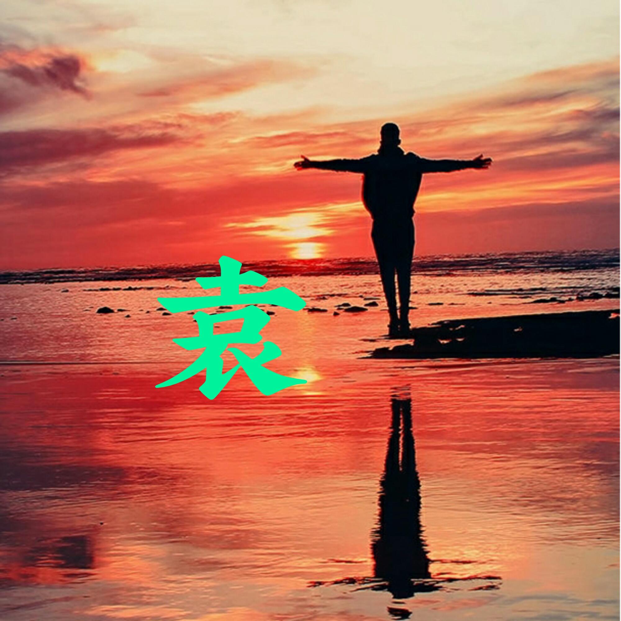 可以做头像的图片(微信图片大全头像)