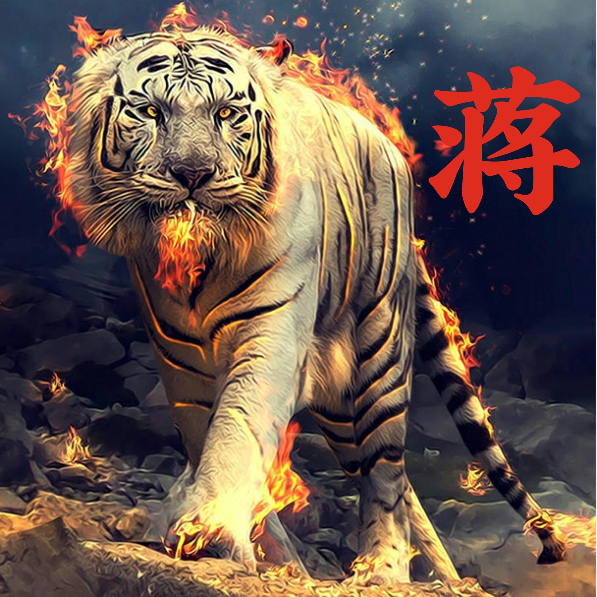 可以做头像的图片(微信图片大全头像)