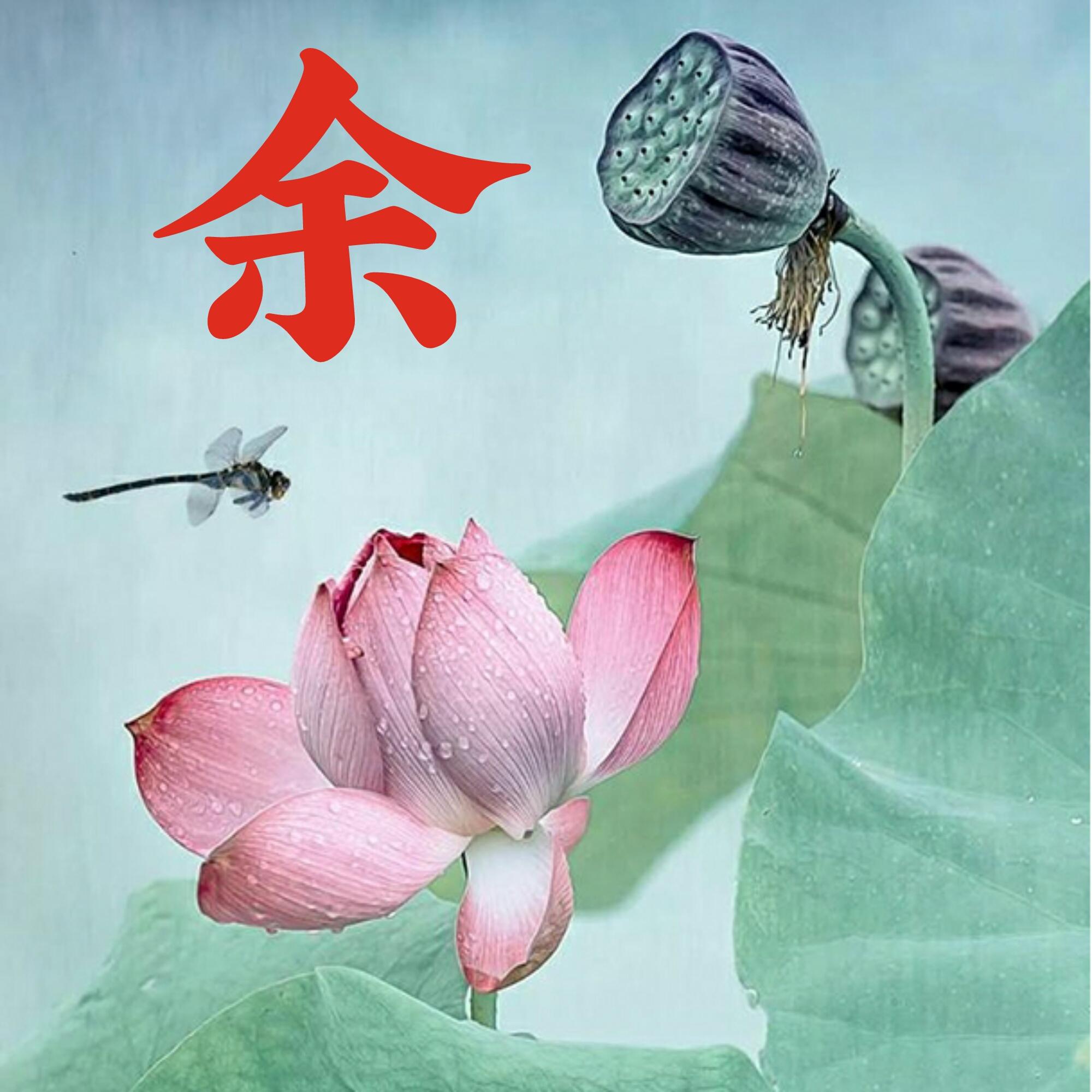 可以做头像的图片(微信图片大全头像)