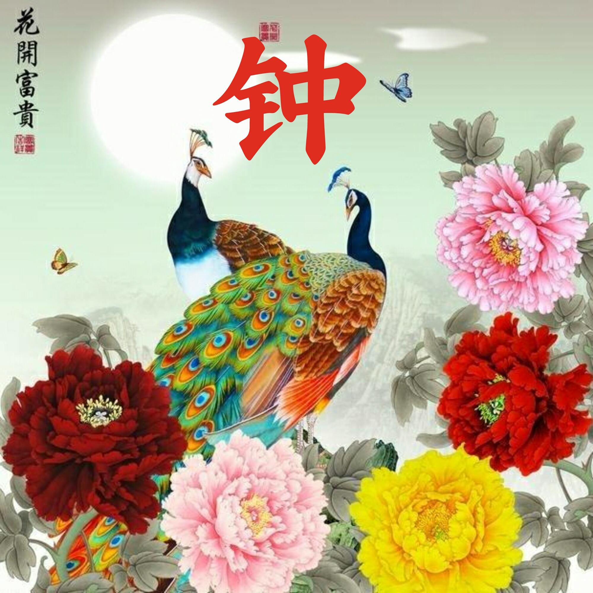 可以做头像的图片(微信图片大全头像)