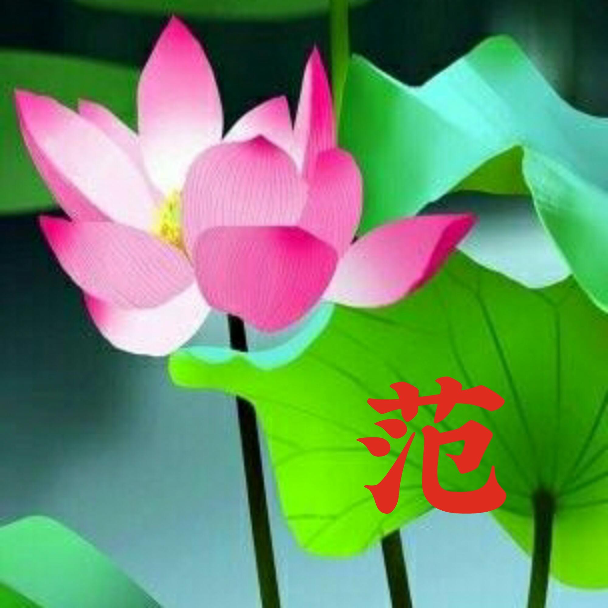 可以做头像的图片(微信图片大全头像)