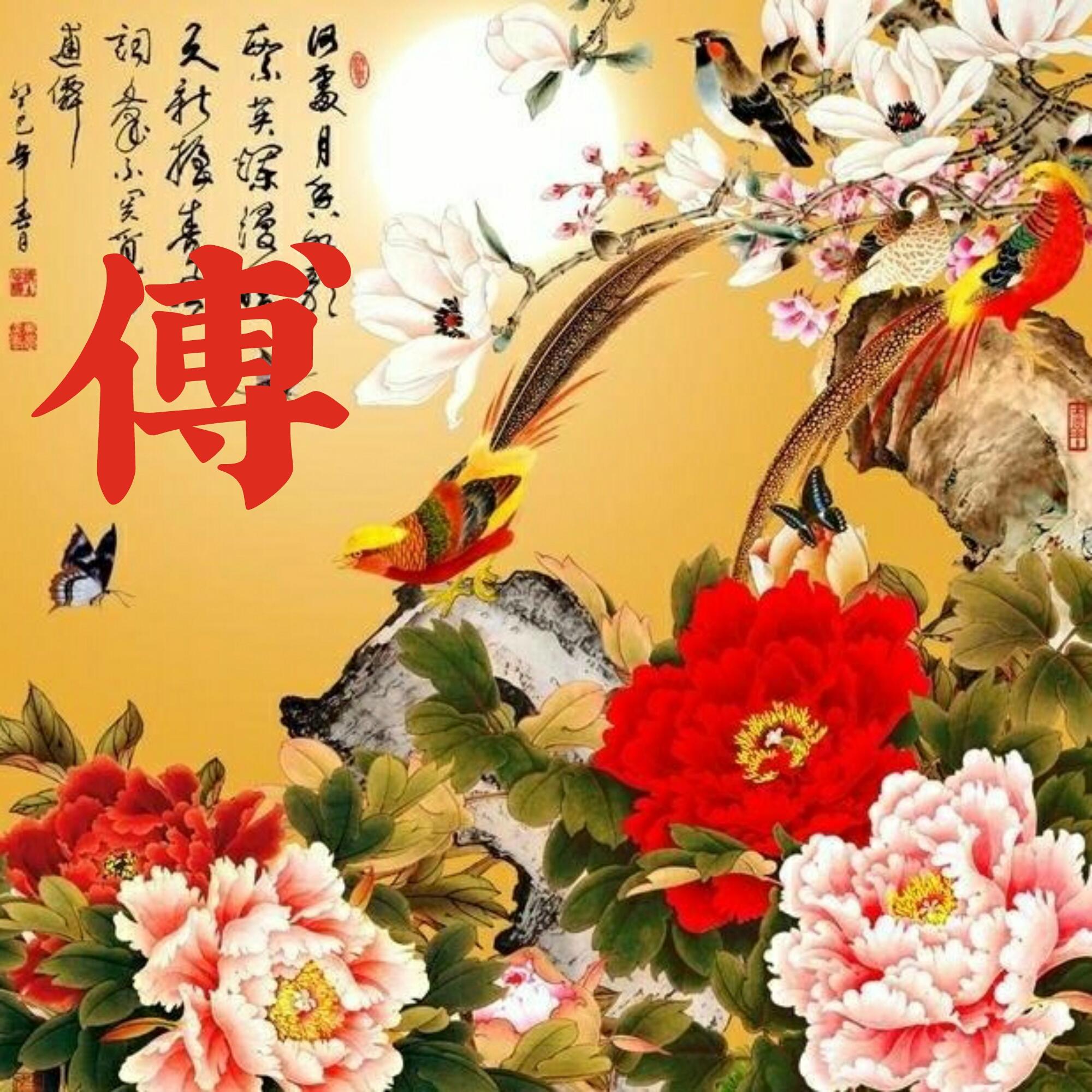 可以做头像的图片(微信图片大全头像)