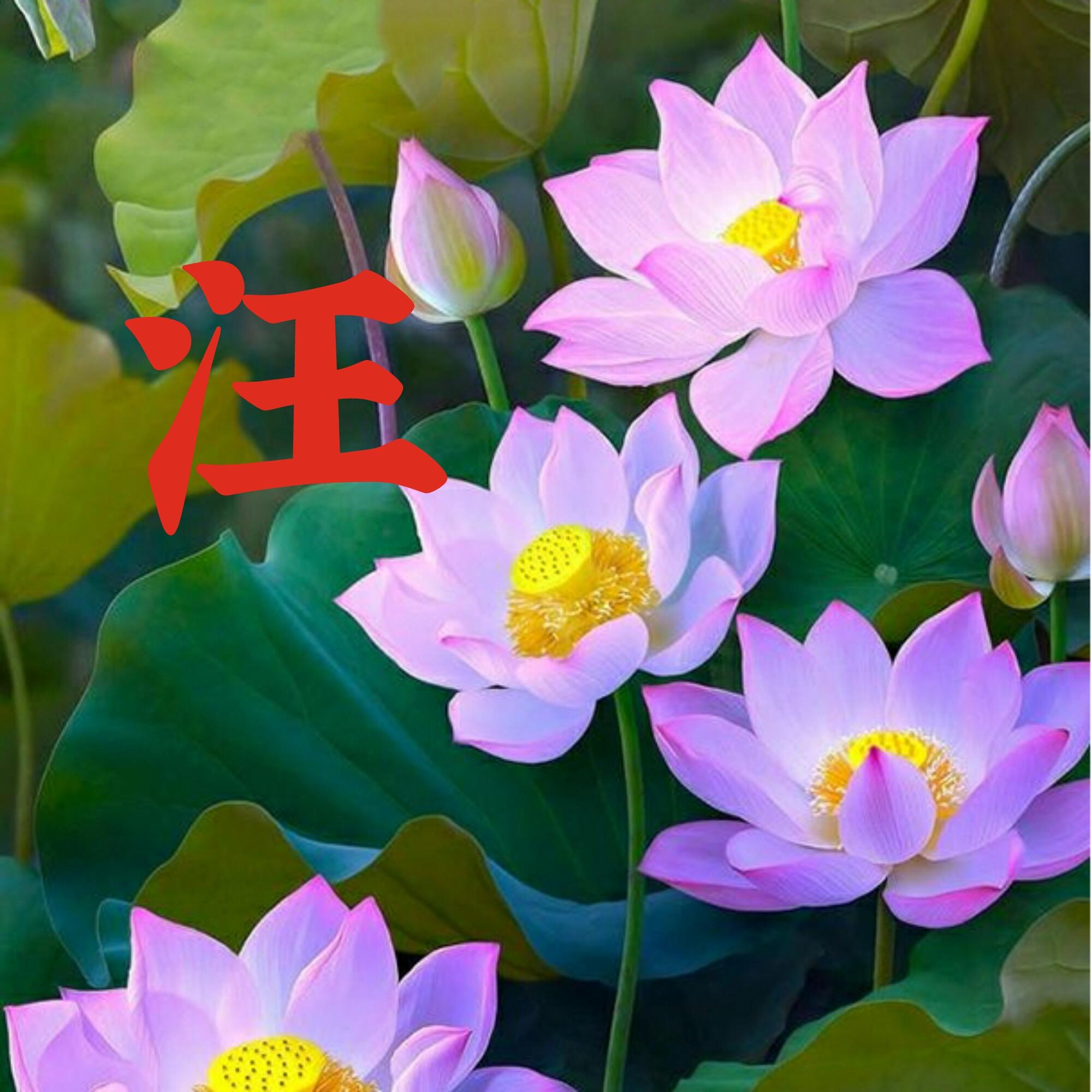 可以做头像的图片(微信图片大全头像)