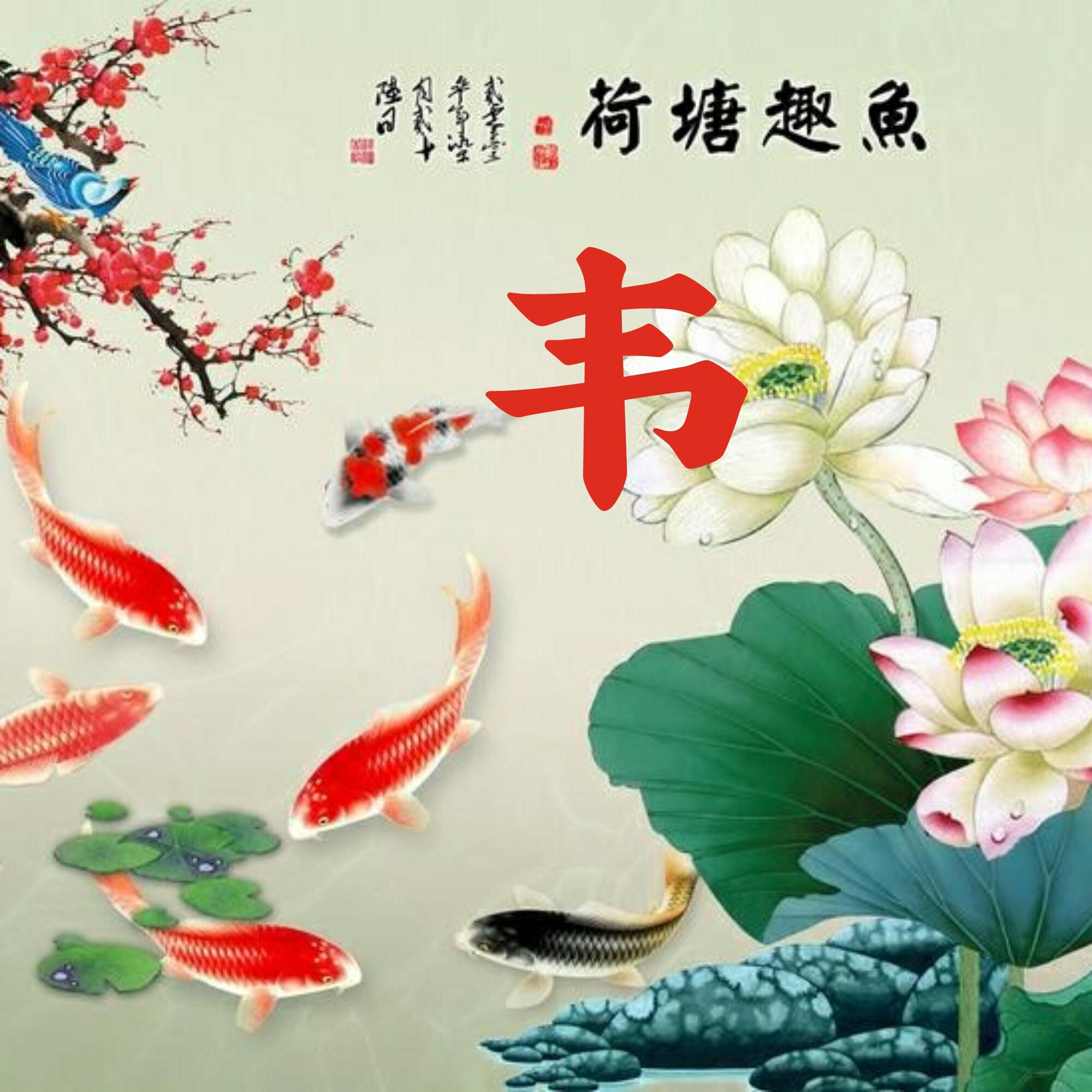 可以做头像的图片(微信图片大全头像)