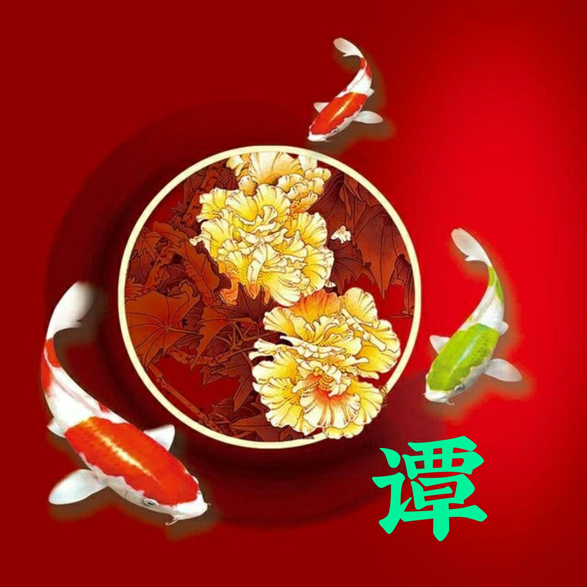 可以做头像的图片(微信图片大全头像)