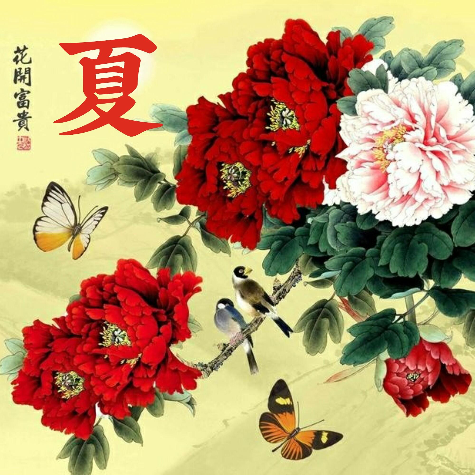 可以做头像的图片(微信图片大全头像)