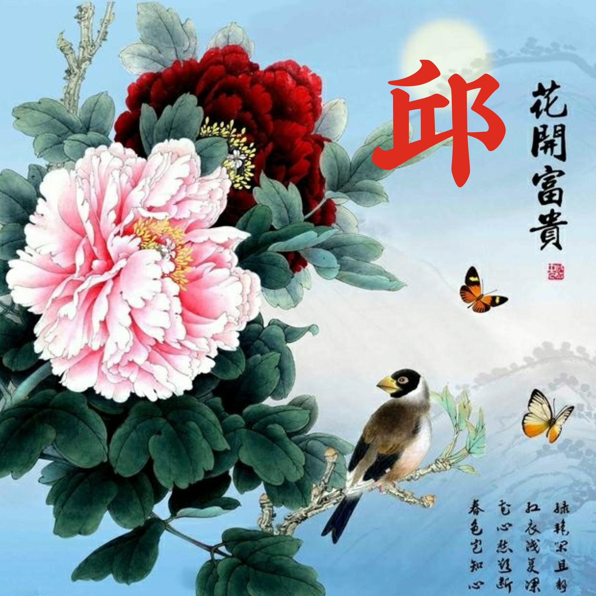 可以做头像的图片(微信图片大全头像)