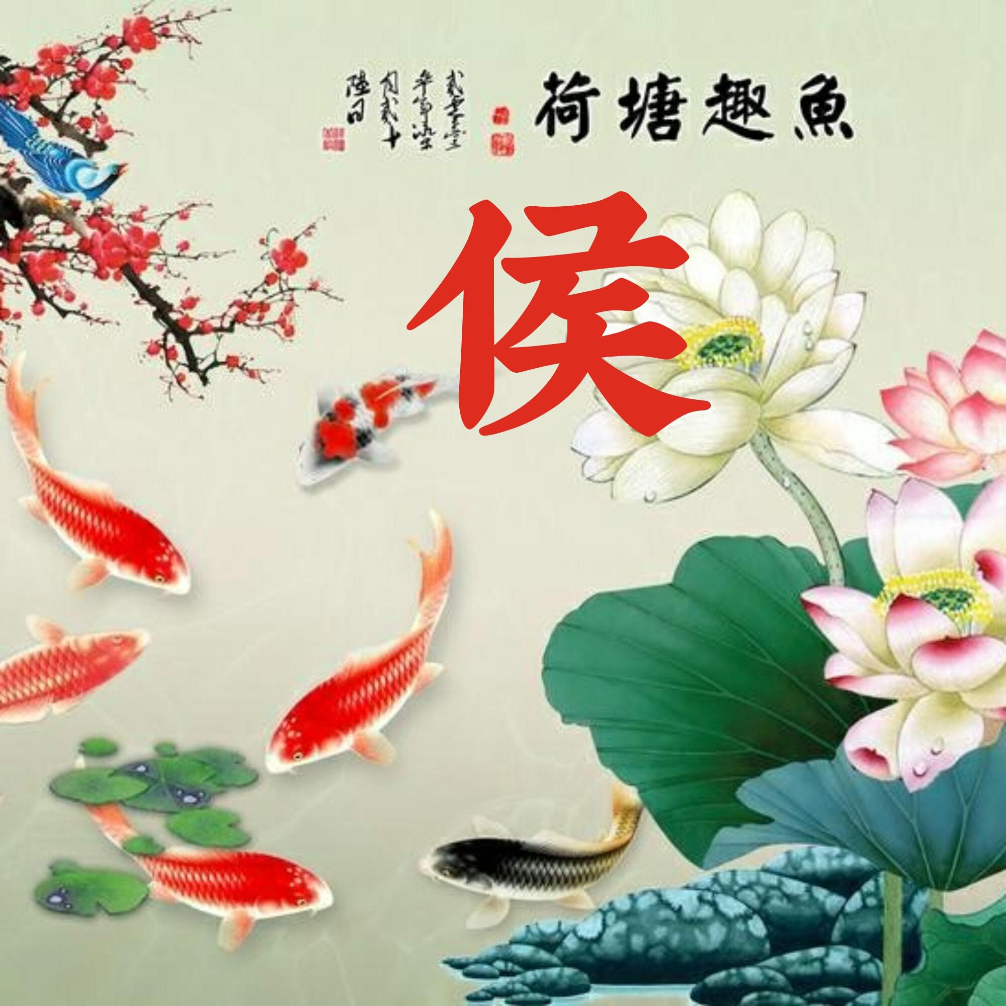 可以做头像的图片(微信图片大全头像)