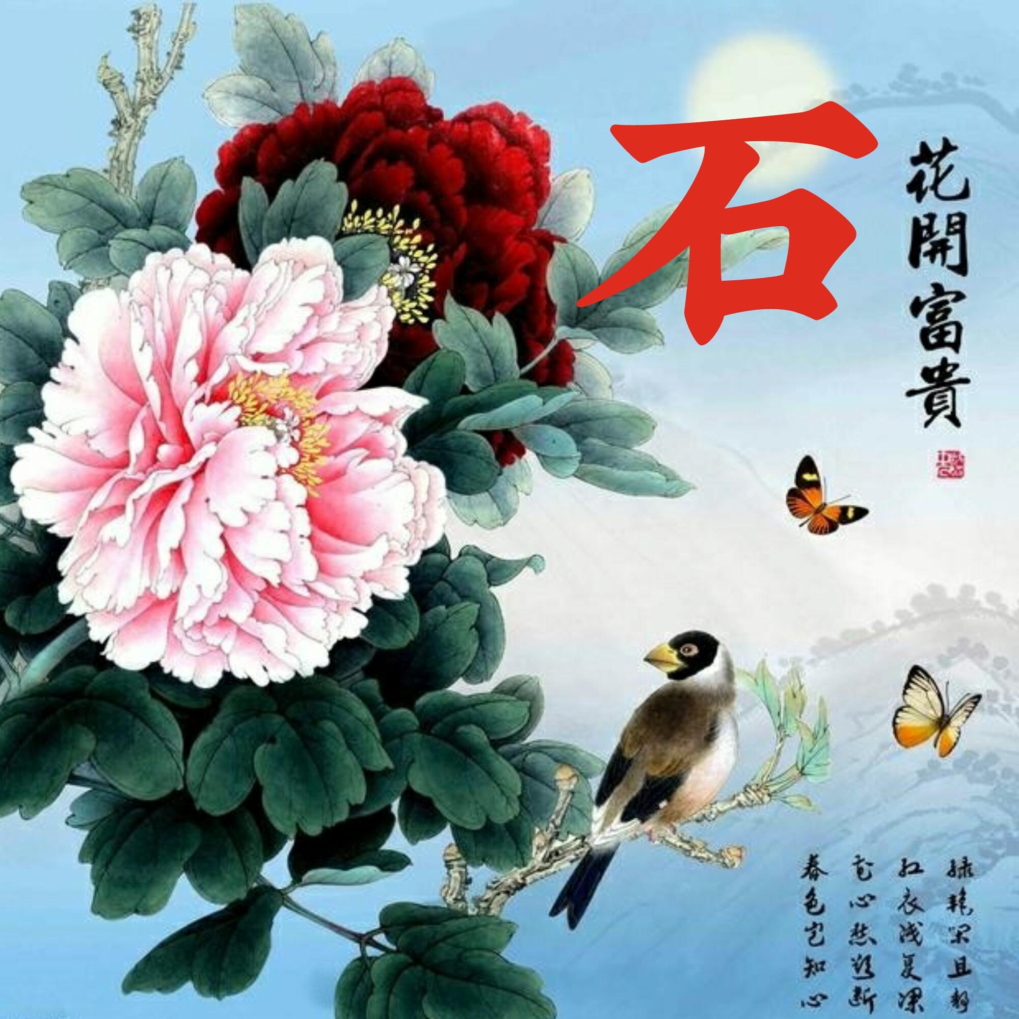 可以做头像的图片(微信图片大全头像)