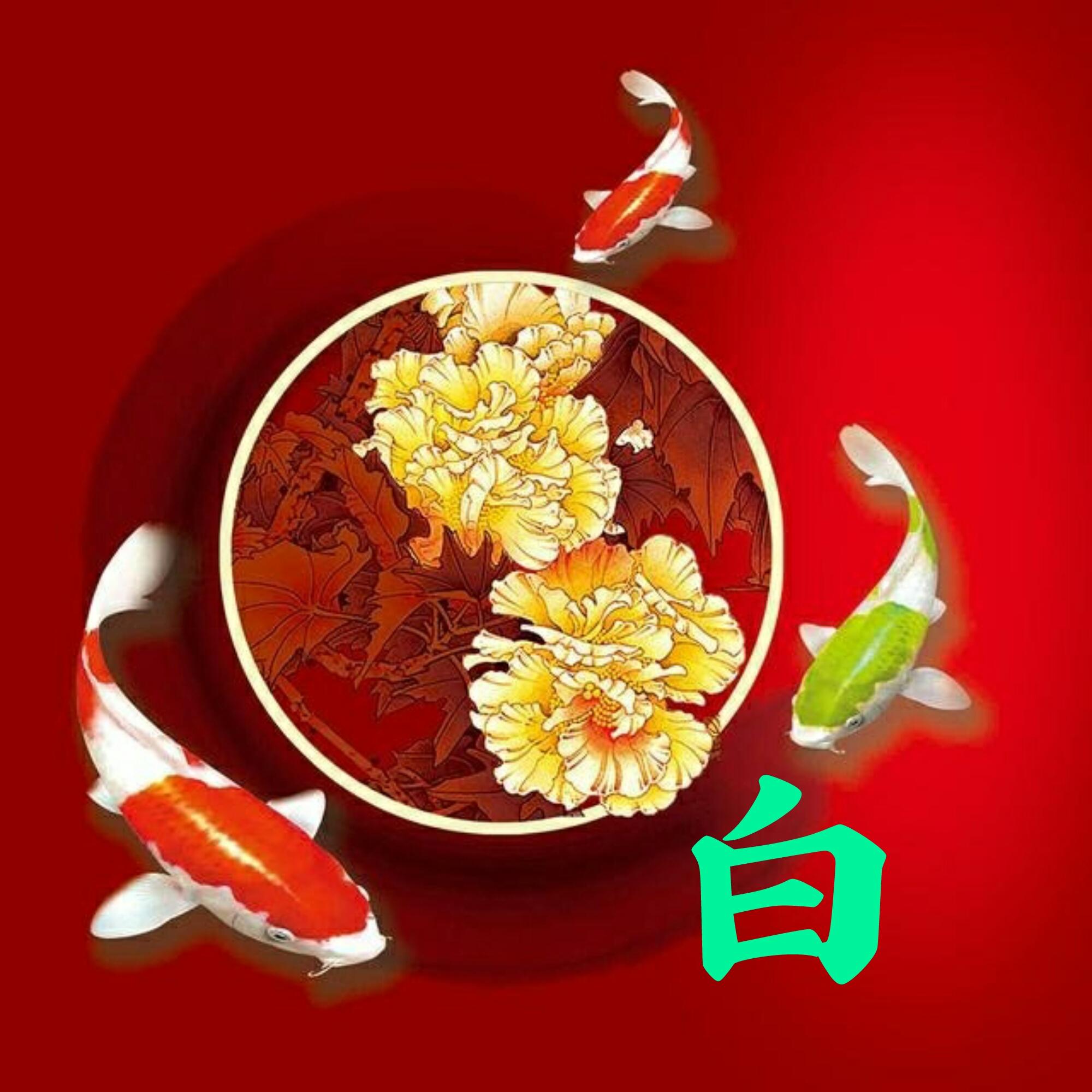 可以做头像的图片(微信图片大全头像)
