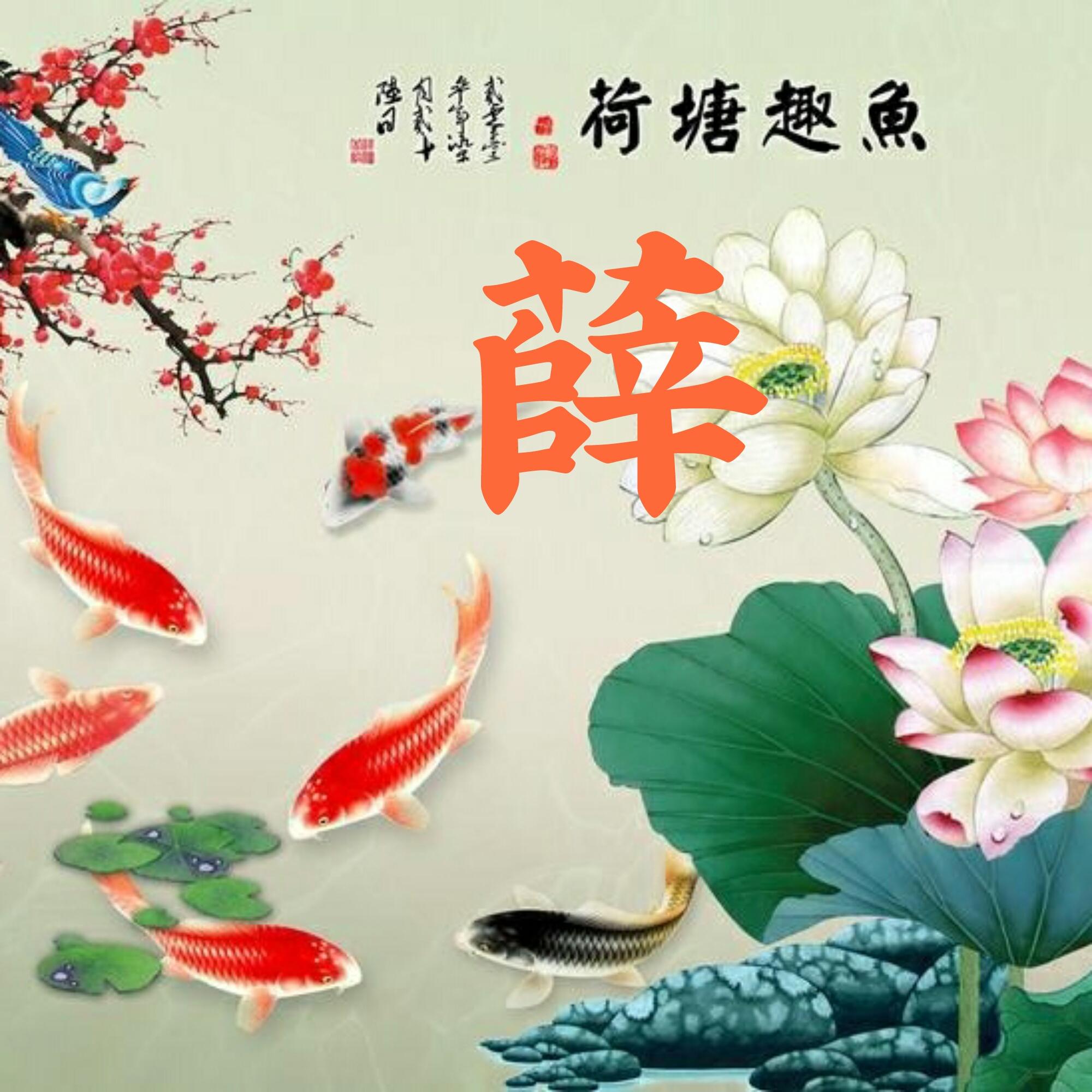 可以做头像的图片(微信图片大全头像)