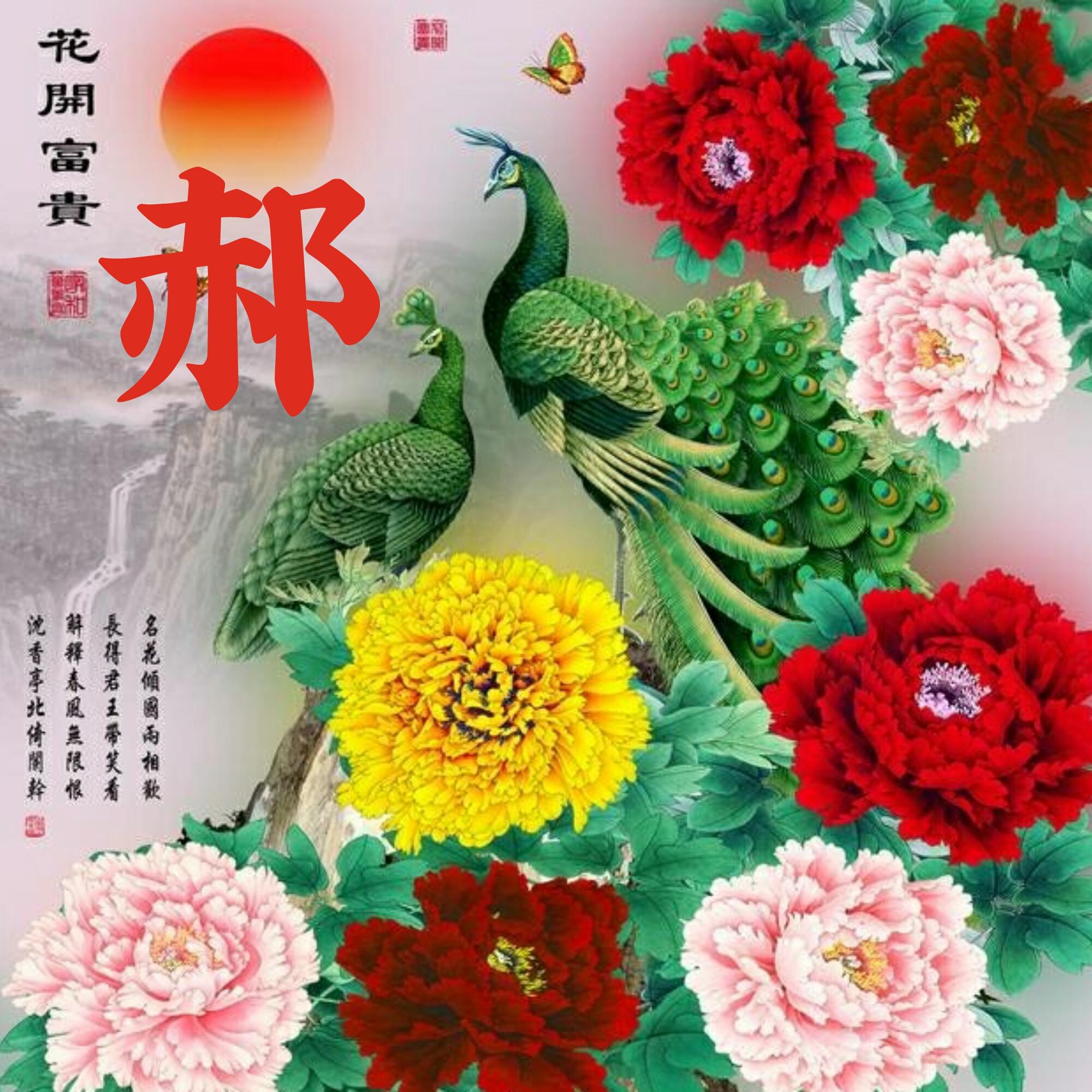 可以做头像的图片(微信图片大全头像)