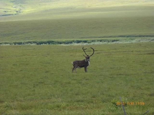 多年冻土是指几年以上，多年冻土是指几年以上的土（冻土，与你我息息相关）