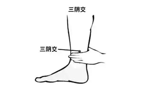 风池穴的准确位置图,风池穴位位置图(按错了可能出人命) 风池穴的准确位置图,风池穴位位置图(按错了可能出人命)
