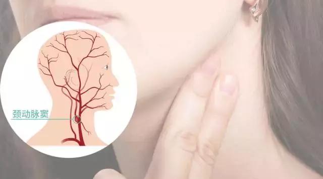 风池穴的准确位置图,风池穴位位置图(按错了可能出人命) 风池穴的准确位置图,风池穴位位置图(按错了可能出人命)