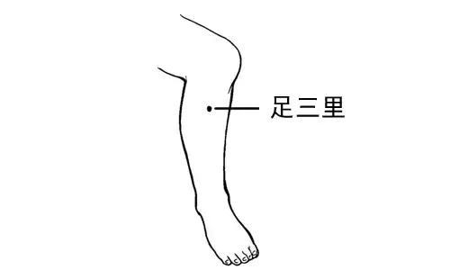 风池穴的准确位置图,风池穴位位置图(按错了可能出人命) 风池穴的准确位置图,风池穴位位置图(按错了可能出人命)