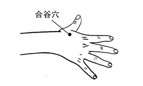 风池穴的准确位置图,风池穴位位置图(按错了可能出人命) 风池穴的准确位置图,风池穴位位置图(按错了可能出人命)