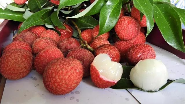 吃芒果会胖吗 吃芒果会不会长胖,吃芒果会胖吗(最减脂的水果\u0026最发胖的水果) 吃芒果会胖吗 吃芒果会不会长胖,吃芒果会胖吗(最减脂的水果\u0026最发胖的水果)