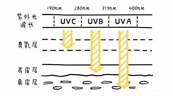皮肤晒伤了怎么办，晒伤急救<内含真实对比图片>（太阳晒后皮肤红疼怎么办）