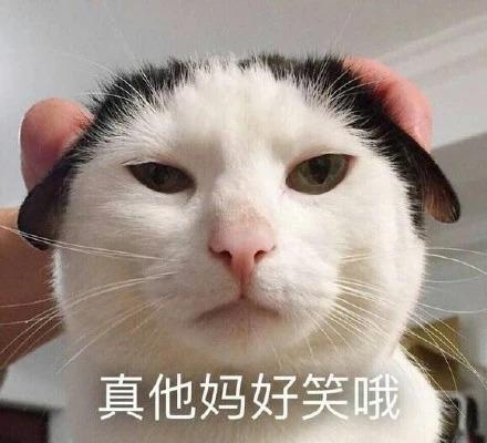 有个性的猫品种，你家猫咪属于哪一种呢