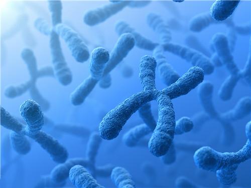 春季防螨虫的方法，怎样预防尘螨过敏（防螨除螨四大妙招：勤洗晒）