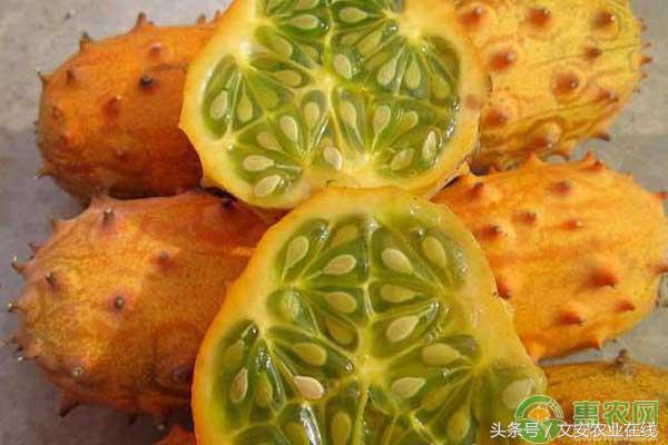 火参果的功效与作用与禁忌，但却是减肥美容的佳品