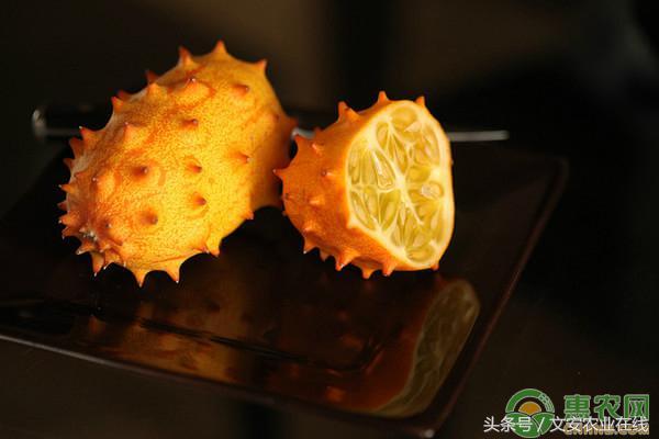 火参果的功效与作用与禁忌，但却是减肥美容的佳品