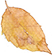 止咳糖浆为什么上瘾，咳嗽糖浆上瘾的原因（这种止咳糖浆喝多了可能会上瘾）