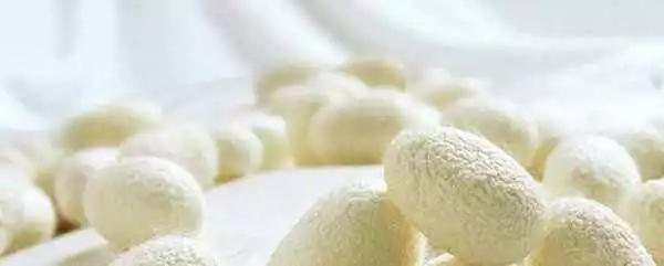 桑蚕丝衣服保养方法有哪些，桑蚕丝保养注意事项（真丝衣服如何洗不掉色原来这么多窍门）