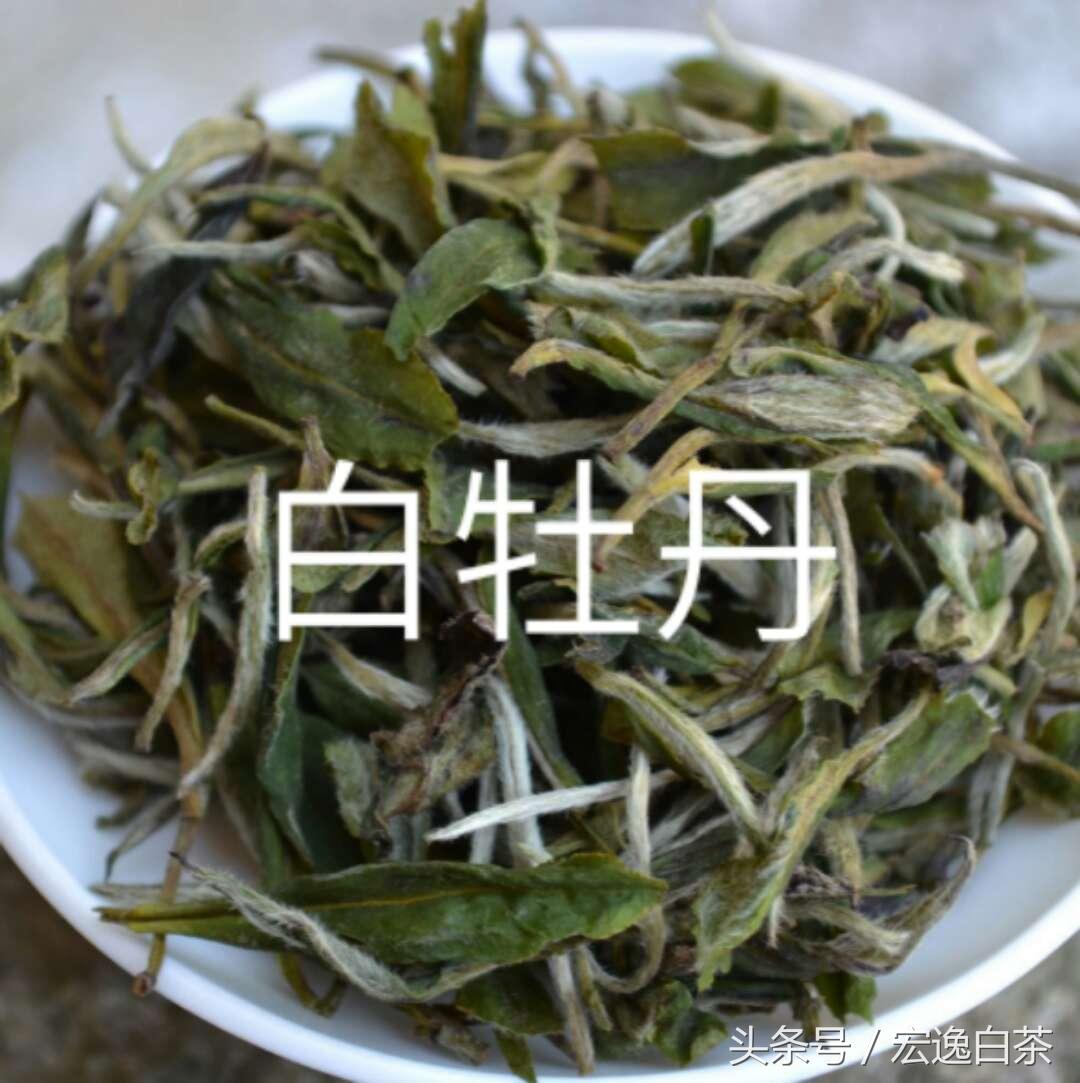 白茶的种类都有哪些(按等级划分主分为四类) 白茶的种类都有哪些(按等级划分主分为四类)