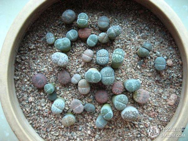 床笠是什么意思啊，床笠啥意思（72种实用神器让你体验到家的感觉）