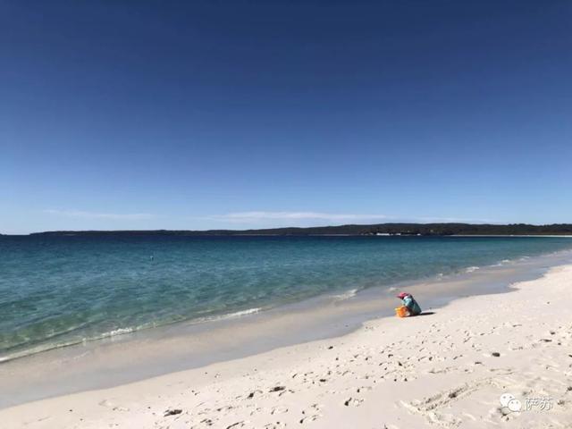 澳大利亚卧龙岗，2019年澳洲卧龙岗大学世界排名【QS最新世界排名第218名】（澳洲南海岸有个工业重镇叫卧龙岗）