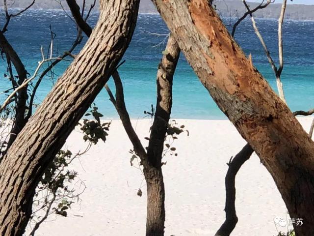 澳大利亚卧龙岗，2019年澳洲卧龙岗大学世界排名【QS最新世界排名第218名】（澳洲南海岸有个工业重镇叫卧龙岗）